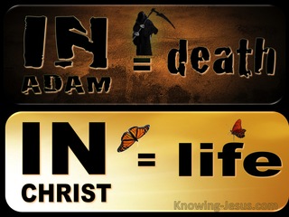 1 Corinthians 15:22 In Adam Is Death. In Christ Is Life (brown)